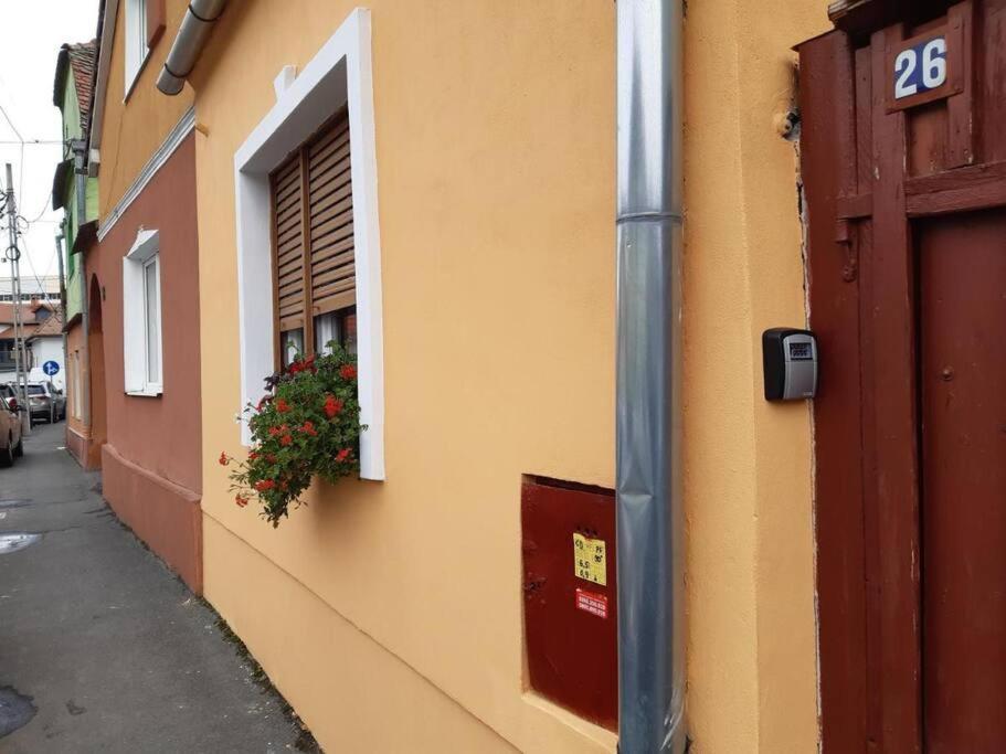 Flh - Apartament Mai Cu Aroma De Cafea Si Ceai Nagyszeben Kültér fotó
