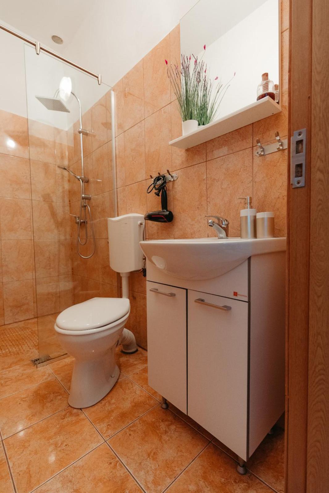 Flh - Apartament Mai Cu Aroma De Cafea Si Ceai Nagyszeben Kültér fotó