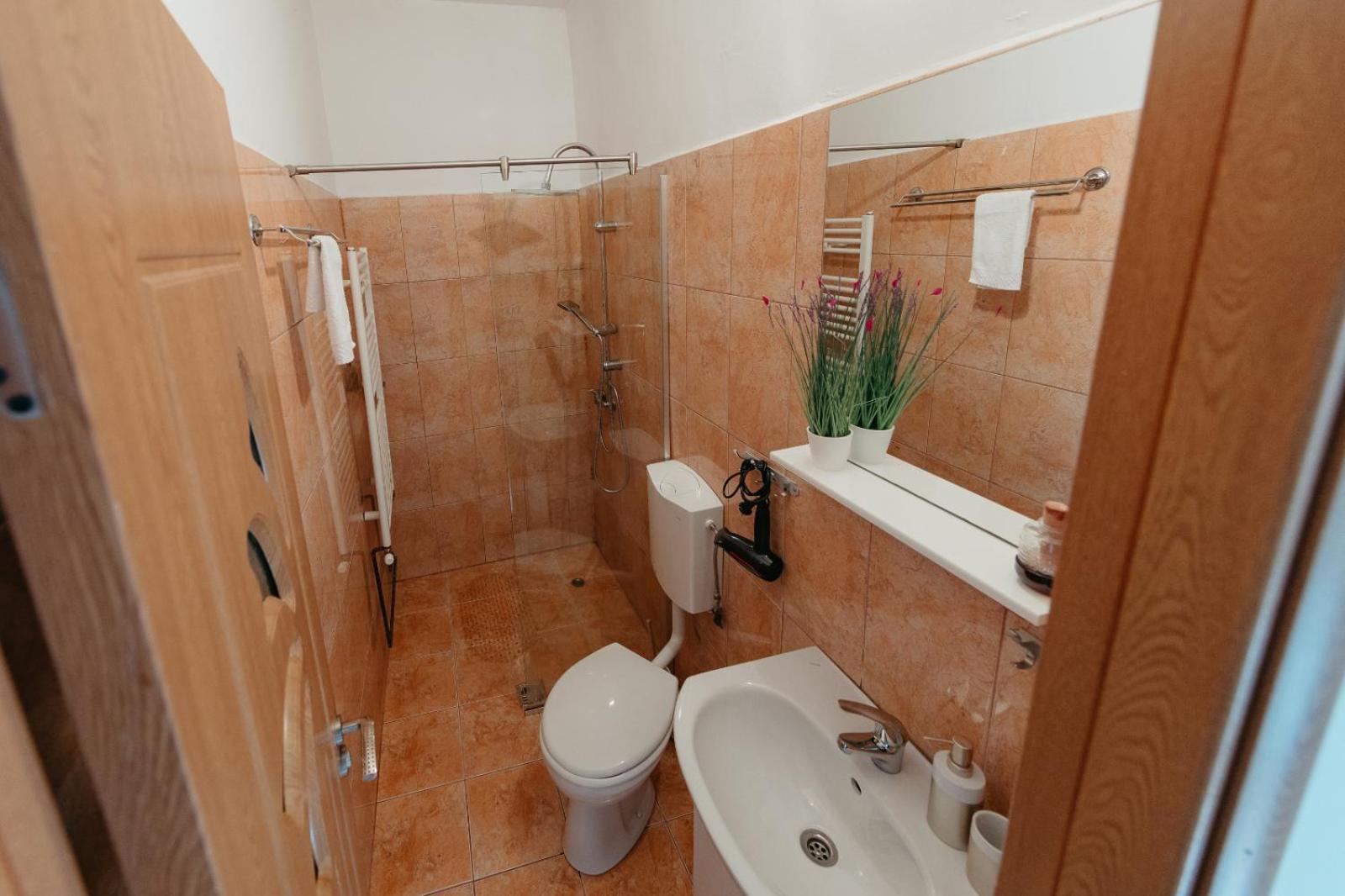 Flh - Apartament Mai Cu Aroma De Cafea Si Ceai Nagyszeben Kültér fotó