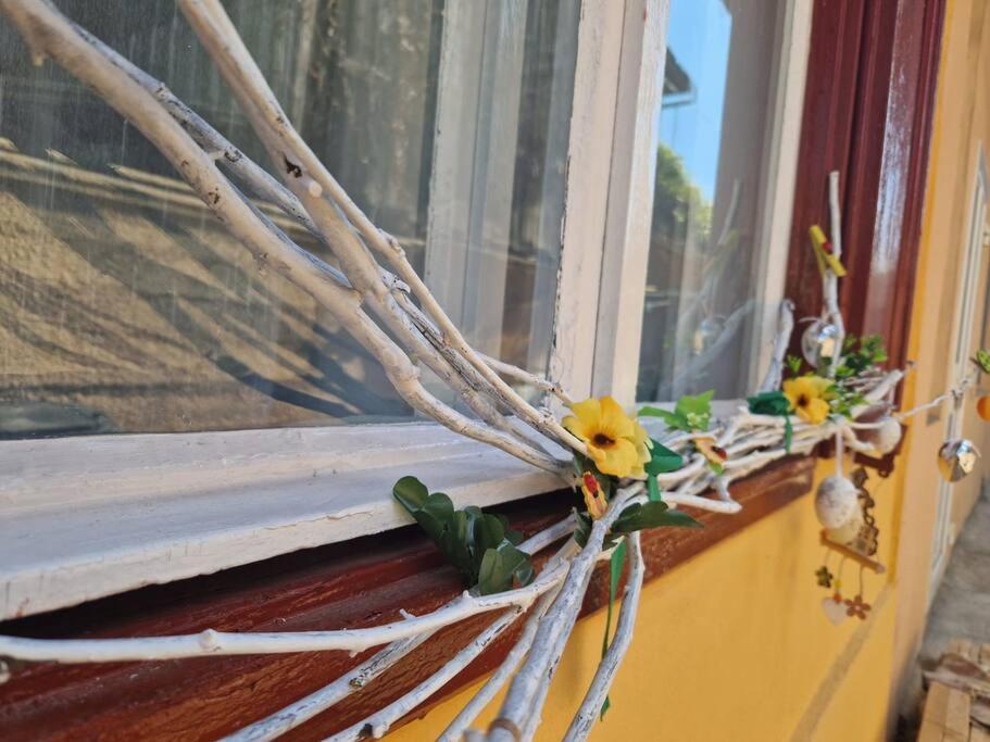 Flh - Apartament Mai Cu Aroma De Cafea Si Ceai Nagyszeben Kültér fotó